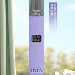 叮啞皮革主機