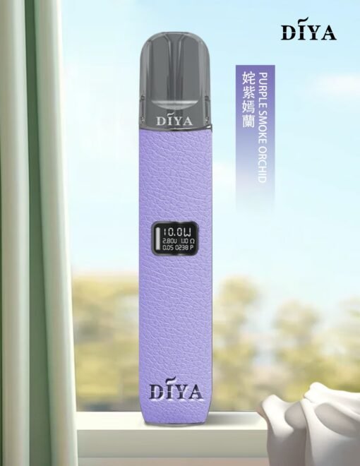 叮啞皮革主機