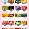 哈門霧化彈
