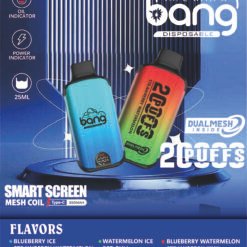 bang dualmesh電子煙