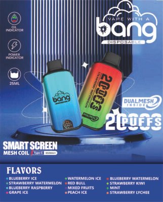 一次性電子煙