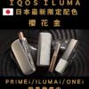 iluma 樱花金